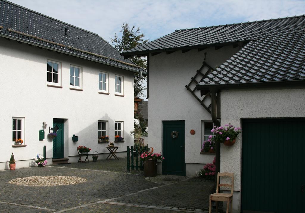 Ferienhaus Ginsterbluete Schleiden Ruang foto